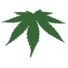 cannabis leaf 1969px